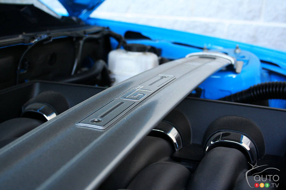 Photo: Miranda Lightstone