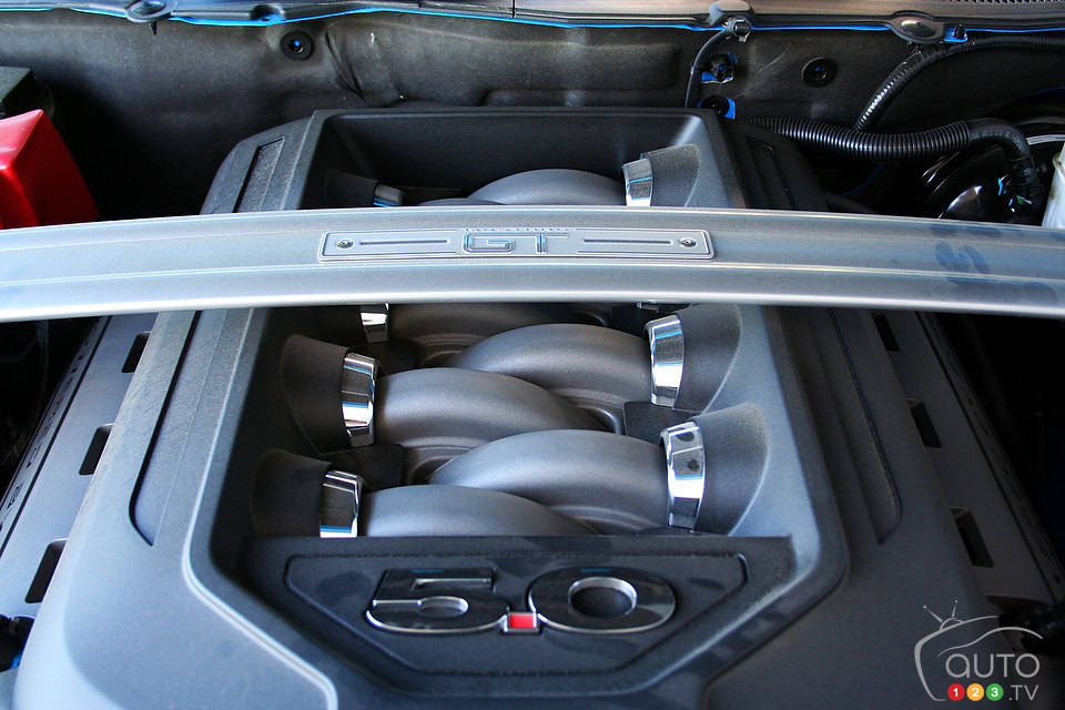 Photo: Miranda Lightstone