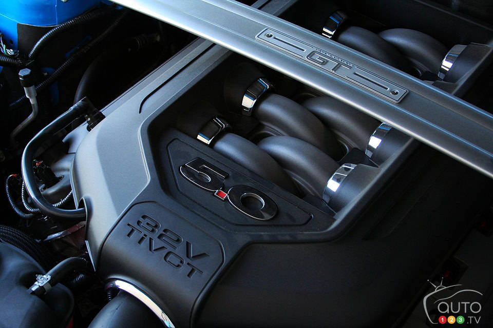 Photo: Miranda Lightstone