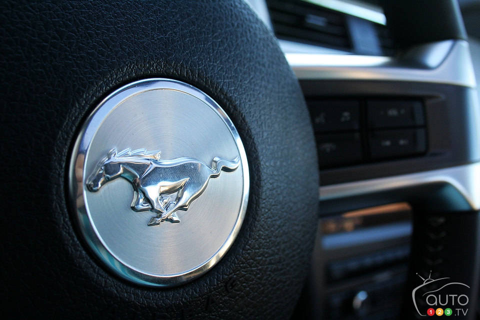 Photo: Miranda Lightstone