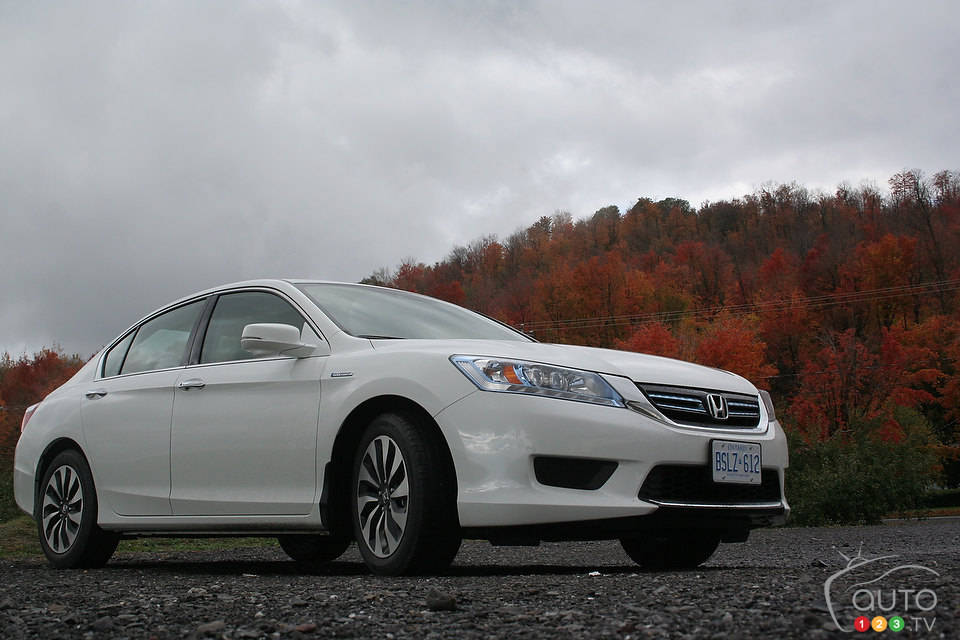 Photo: Miranda Lightstone