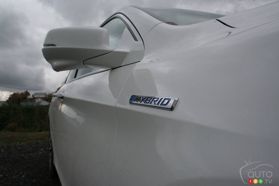 Photo: Miranda Lightstone