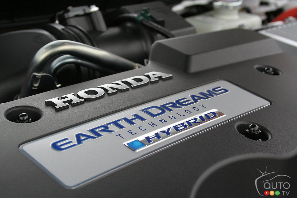 Photo: Miranda Lightstone