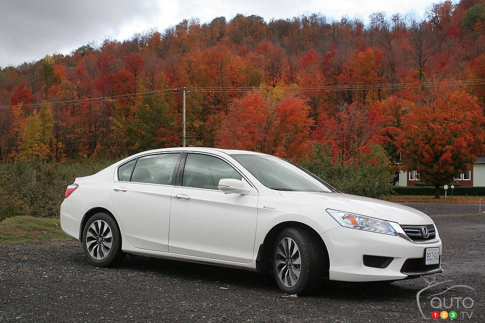 Photo: Miranda Lightstone