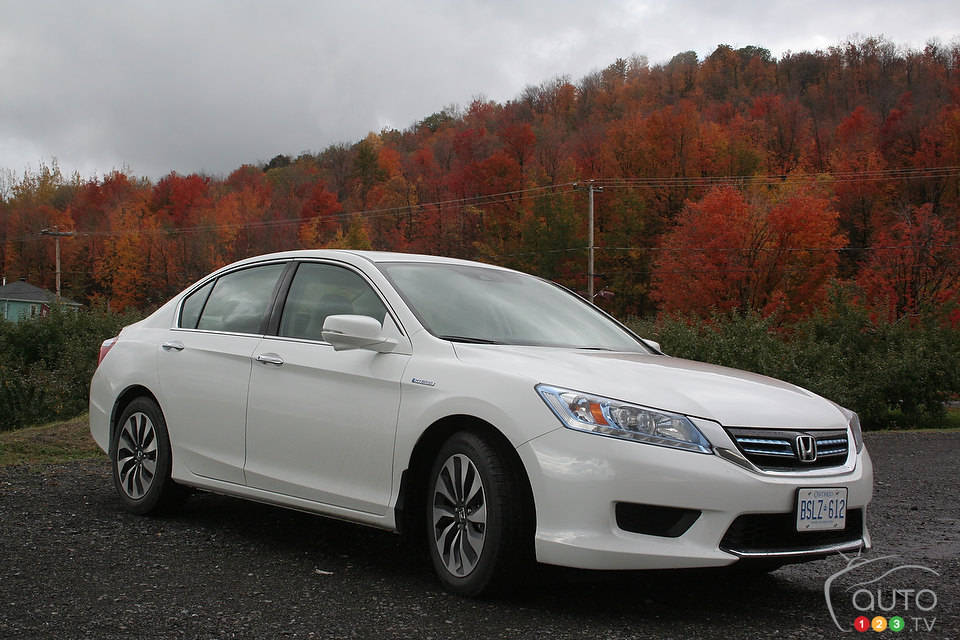 Photo: Miranda Lightstone