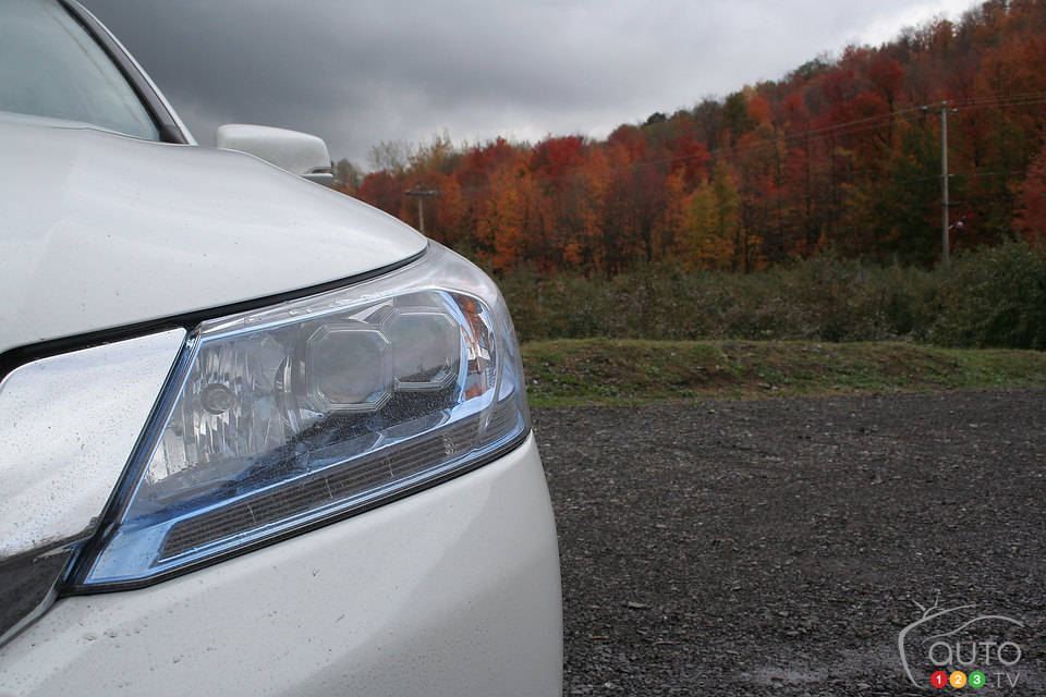 Photo: Miranda Lightstone