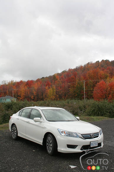 Photo: Miranda Lightstone