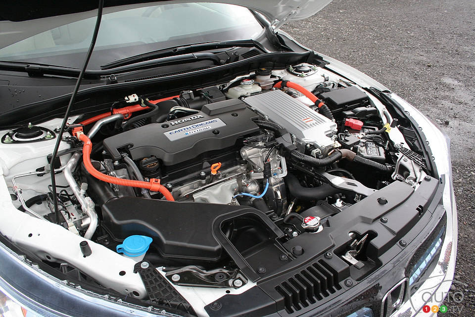 Photo: Miranda Lightstone