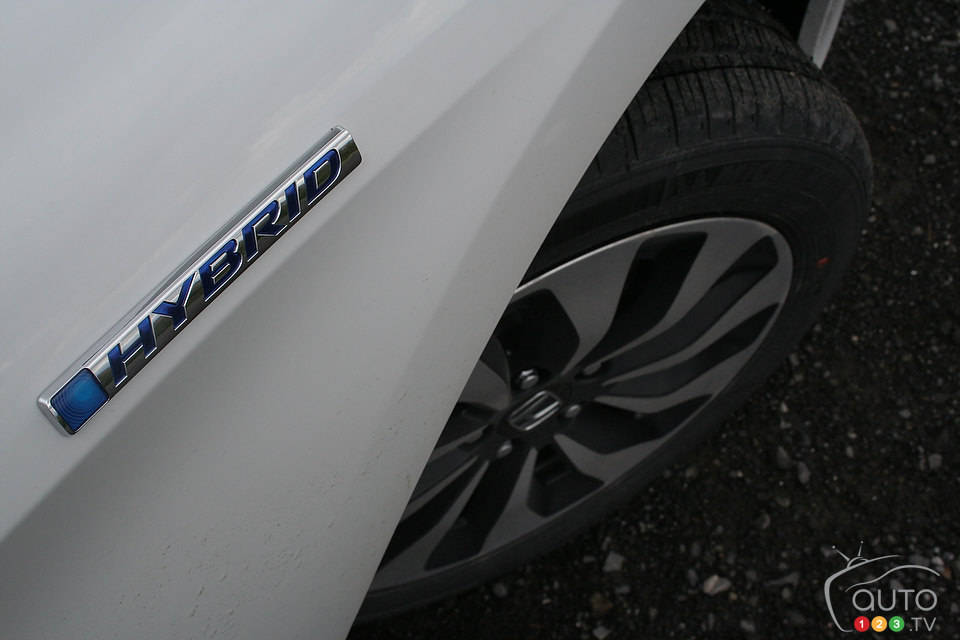 Photo: Miranda Lightstone