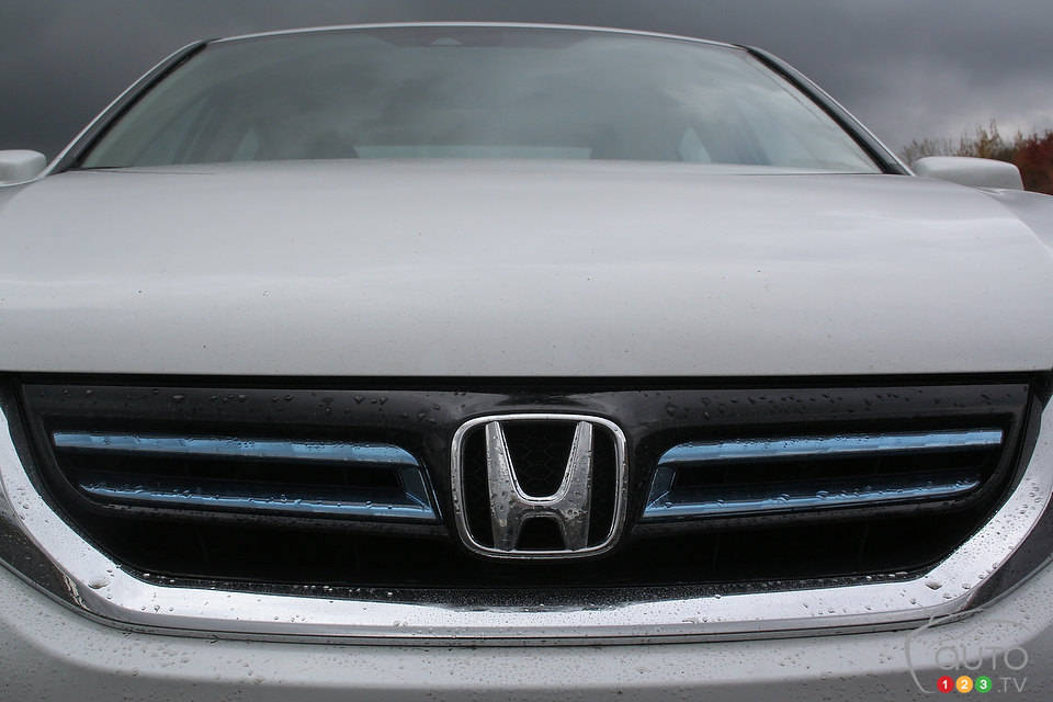 Photo: Miranda Lightstone