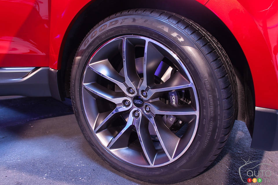 Photo: Mark Stevenson