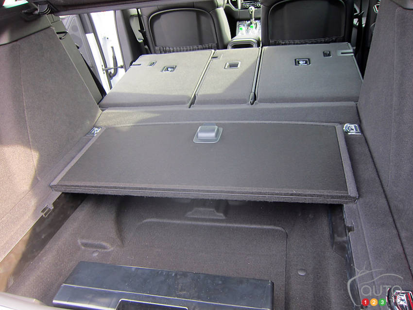 Photo: Lesley Wimbush