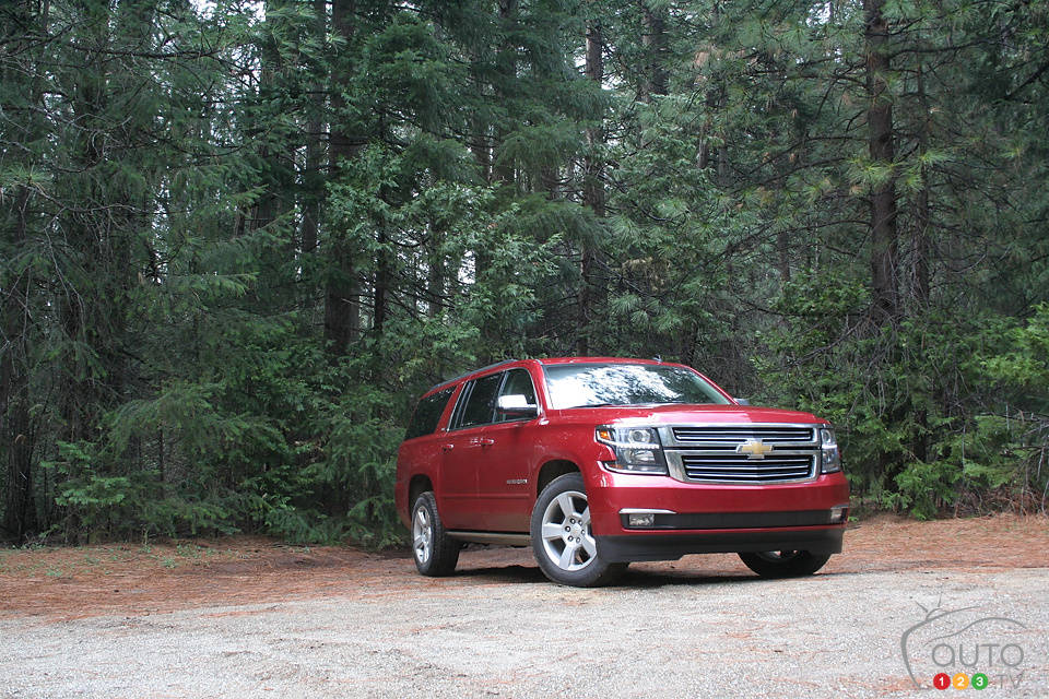 Photo: Miranda Lightstone