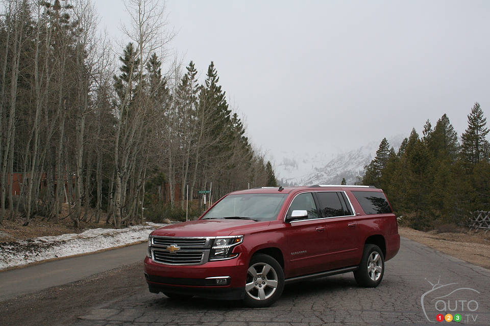 Photo: Miranda Lightstone