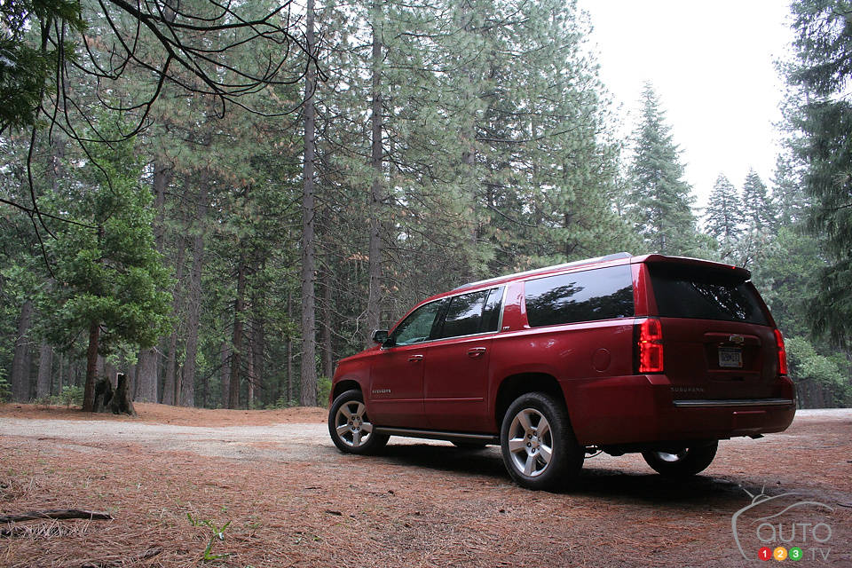 Photo: Miranda Lightstone