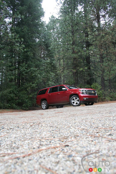 Photo: Miranda Lightstone