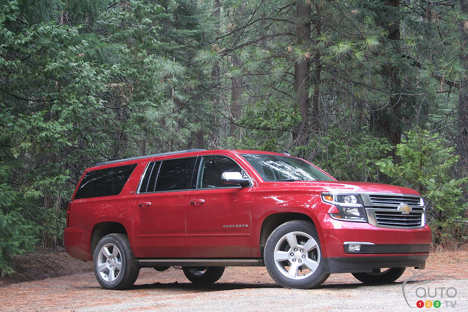 Photo: Miranda Lightstone