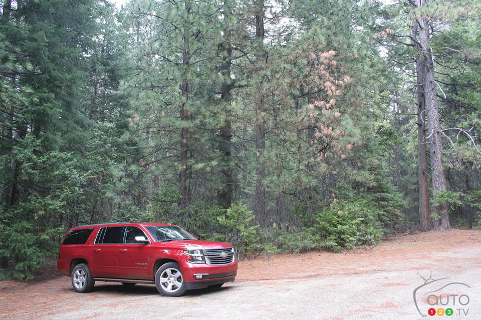 Photo: Miranda Lightstone