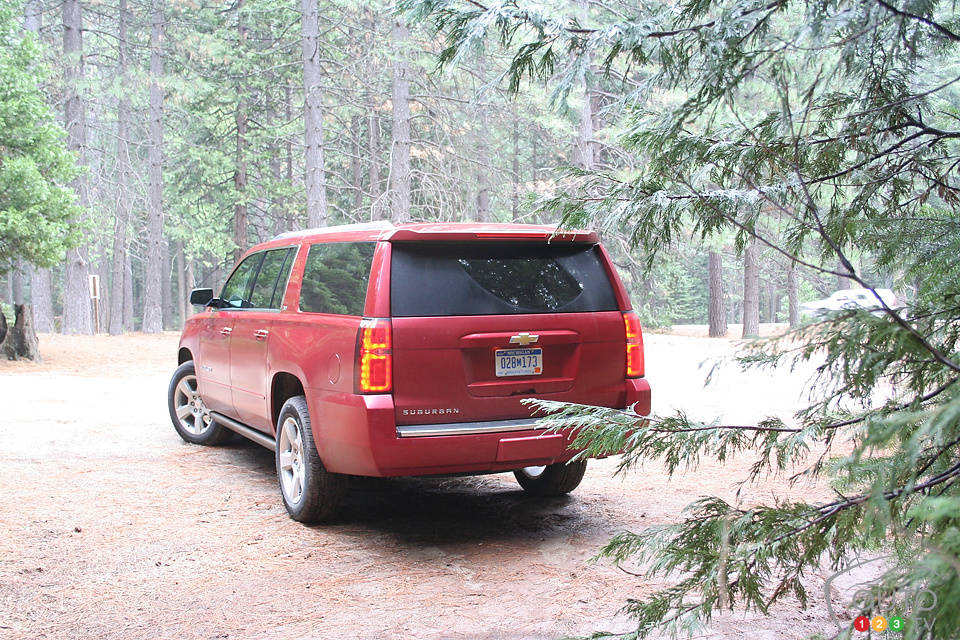 Photo: Miranda Lightstone