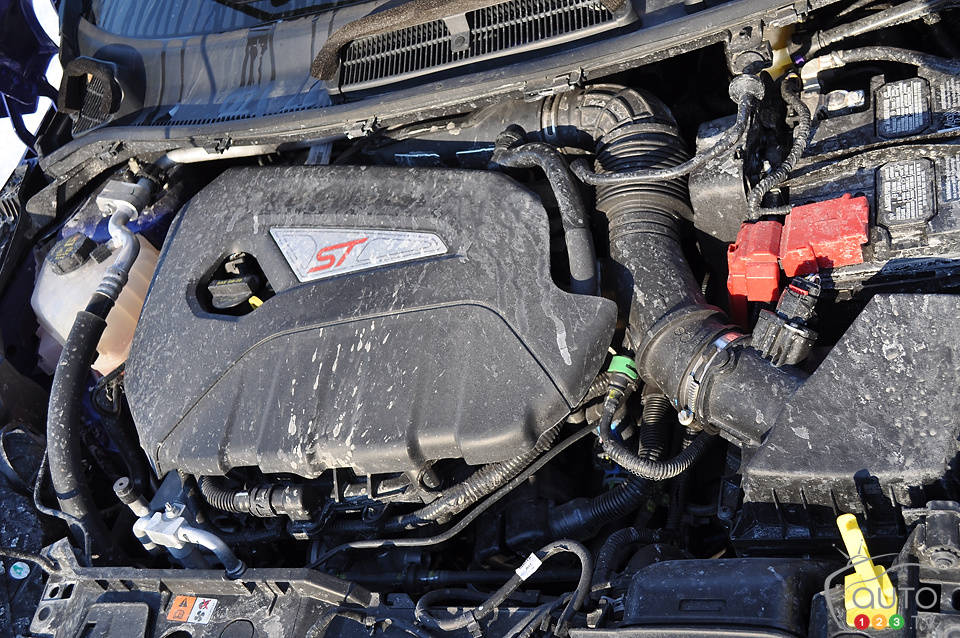 Photo: Mathieu St-Pierre