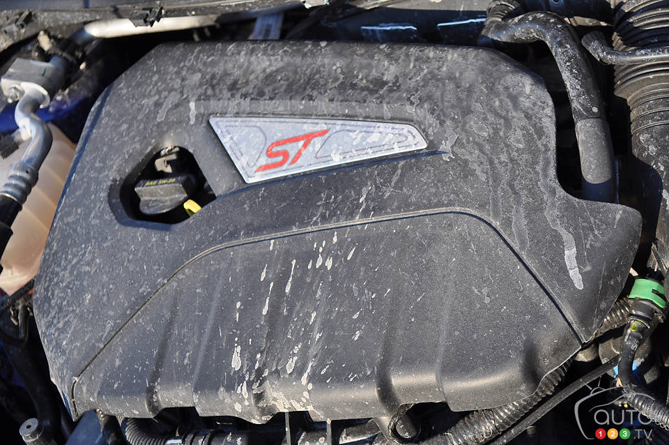 Photo: Mathieu St-Pierre