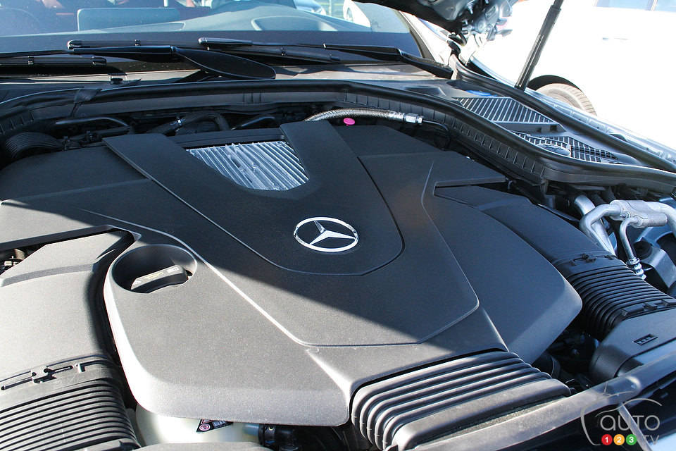 Photo: Miranda Lightstone