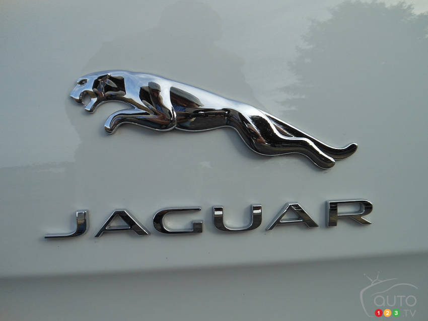 Photo: Kevin Corrigan