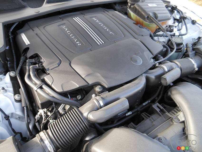 Photo: Kevin Corrigan