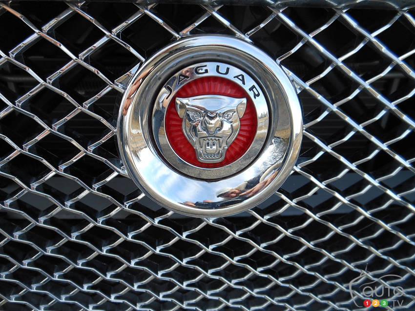 Photo: Kevin Corrigan