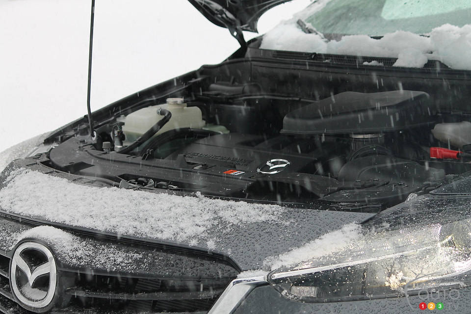 Photo: Justin Pritchard