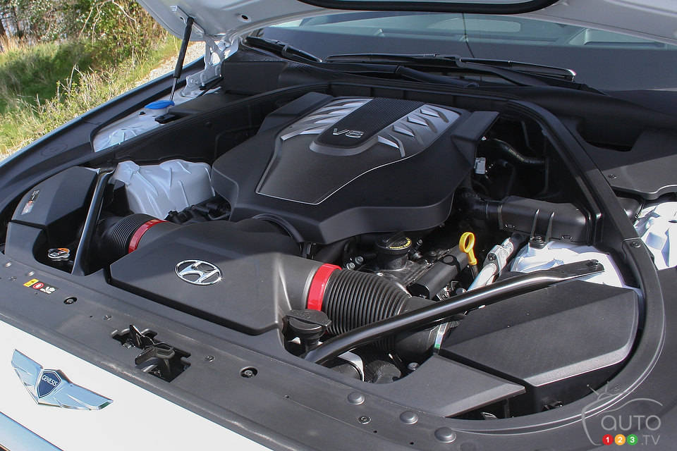 Photo: Miranda Lightstone