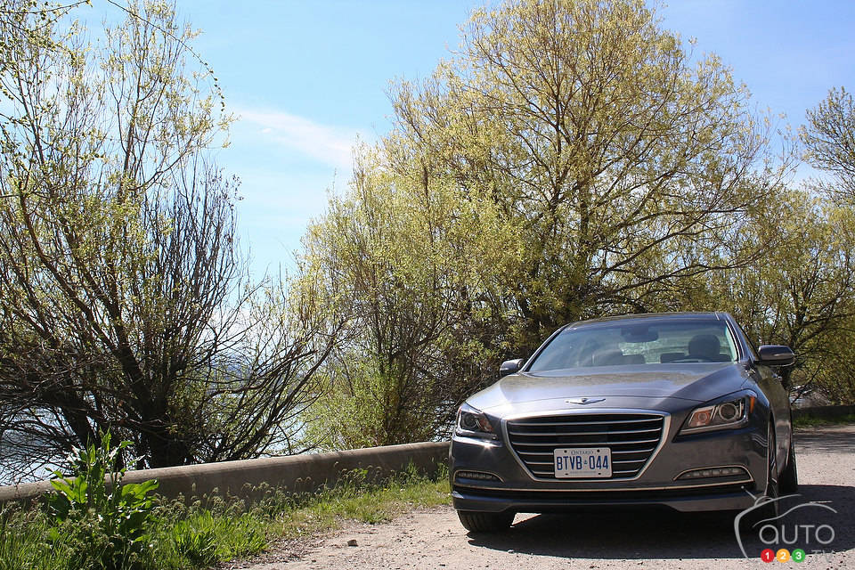 Photo: Miranda Lightstone