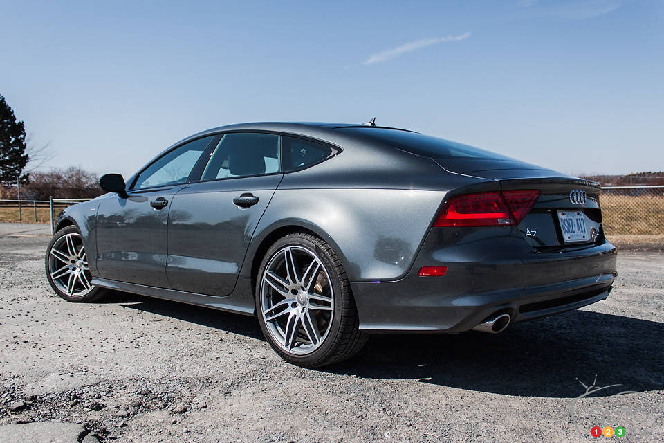 Photo: Mark Stevenson