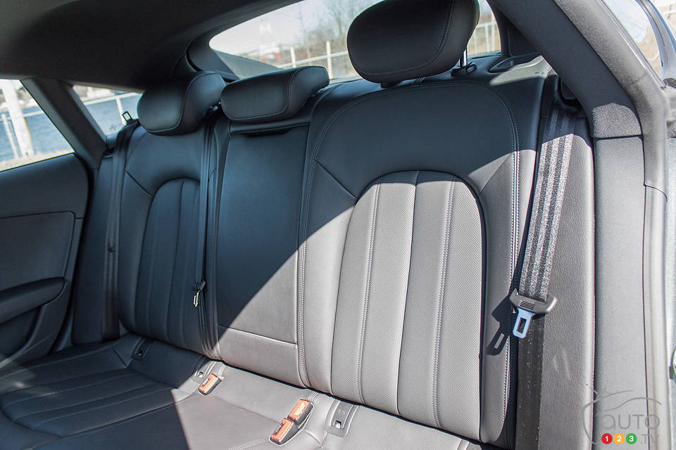 Photo: Mark Stevenson