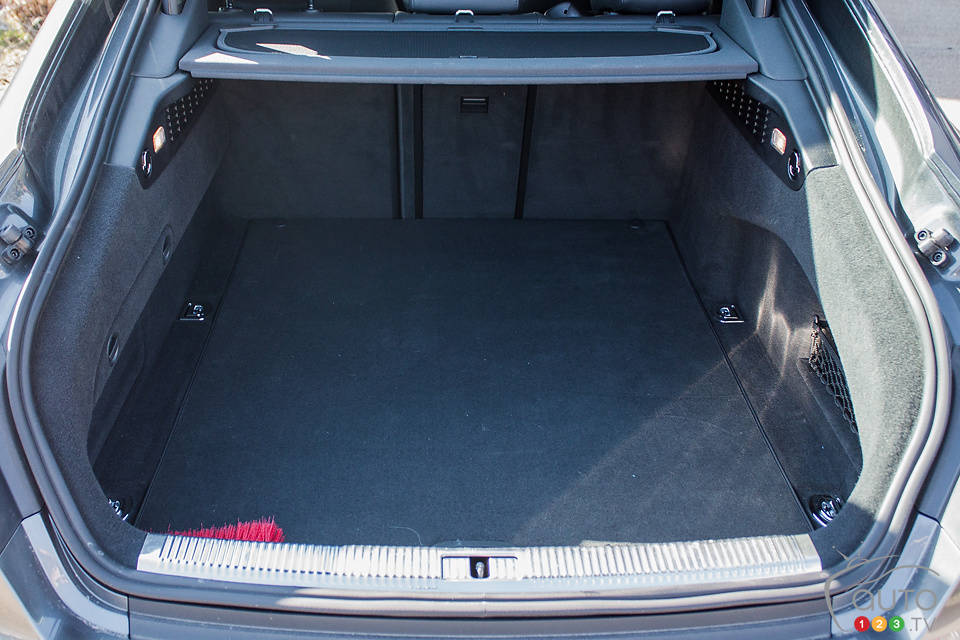 Photo: Mark Stevenson