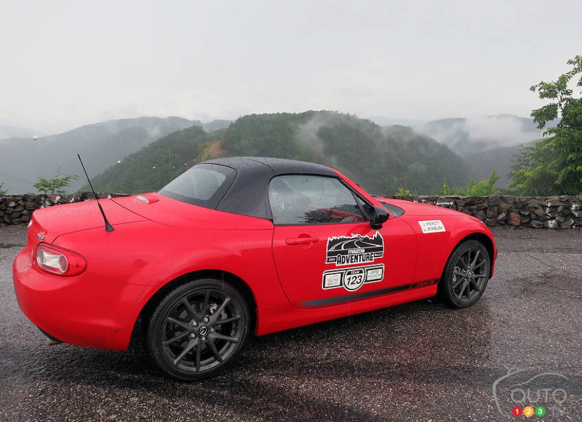 Photo: Lesley Wimbush