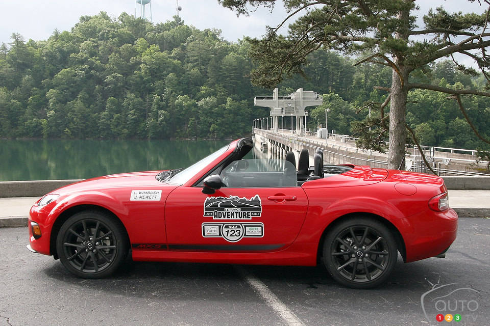 Photo: Lesley Wimbush