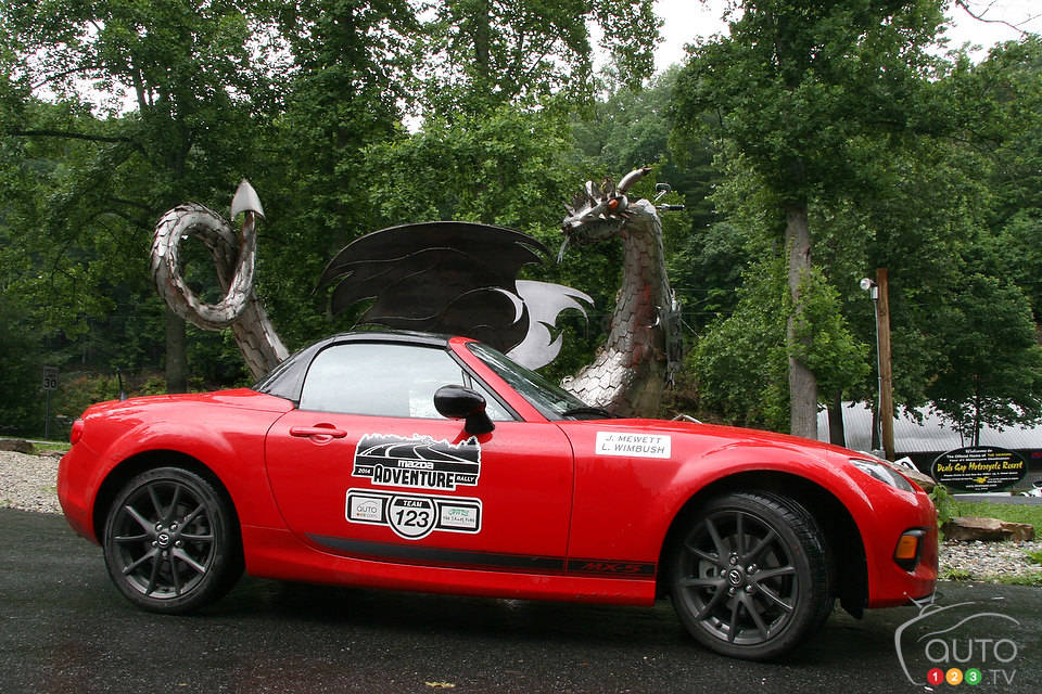 Photo: Lesley Wimbush