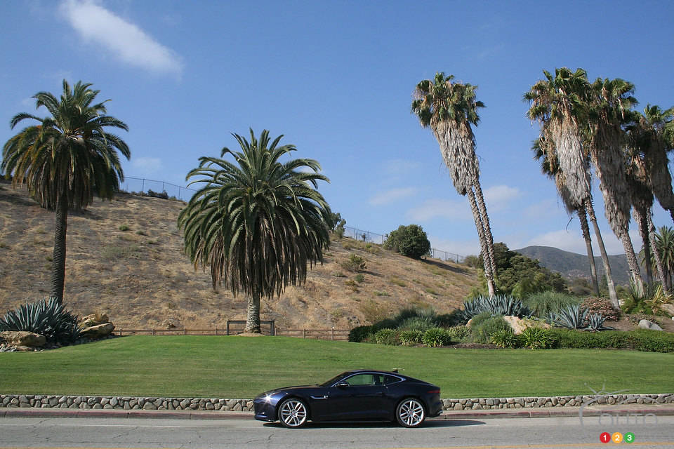 Photo: Miranda Lightstone