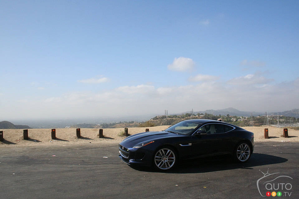 Photo: Miranda Lightstone