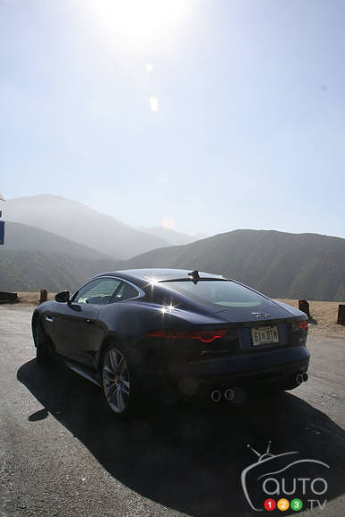 Photo: Miranda Lightstone