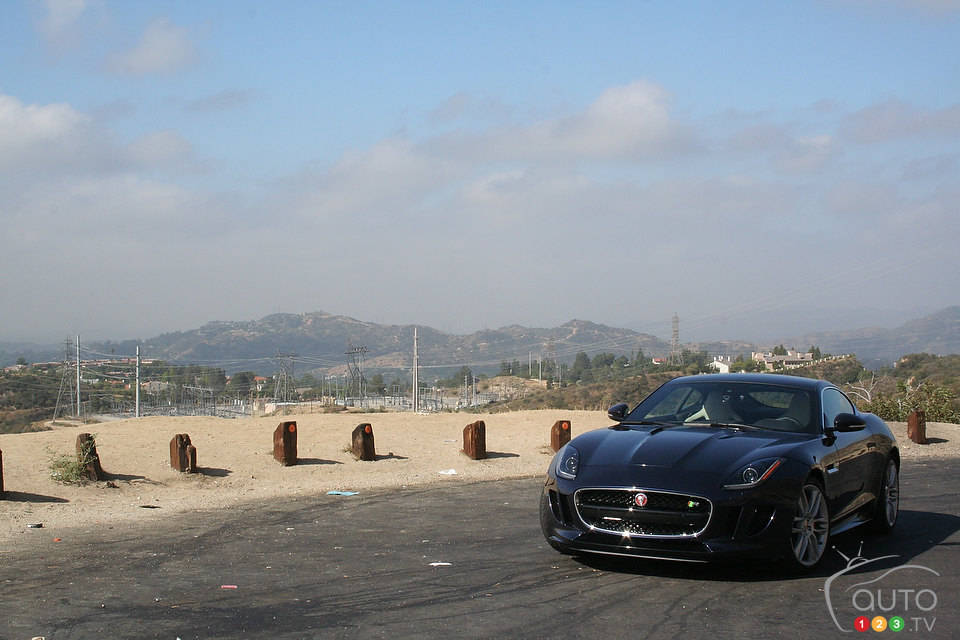 Photo: Miranda Lightstone