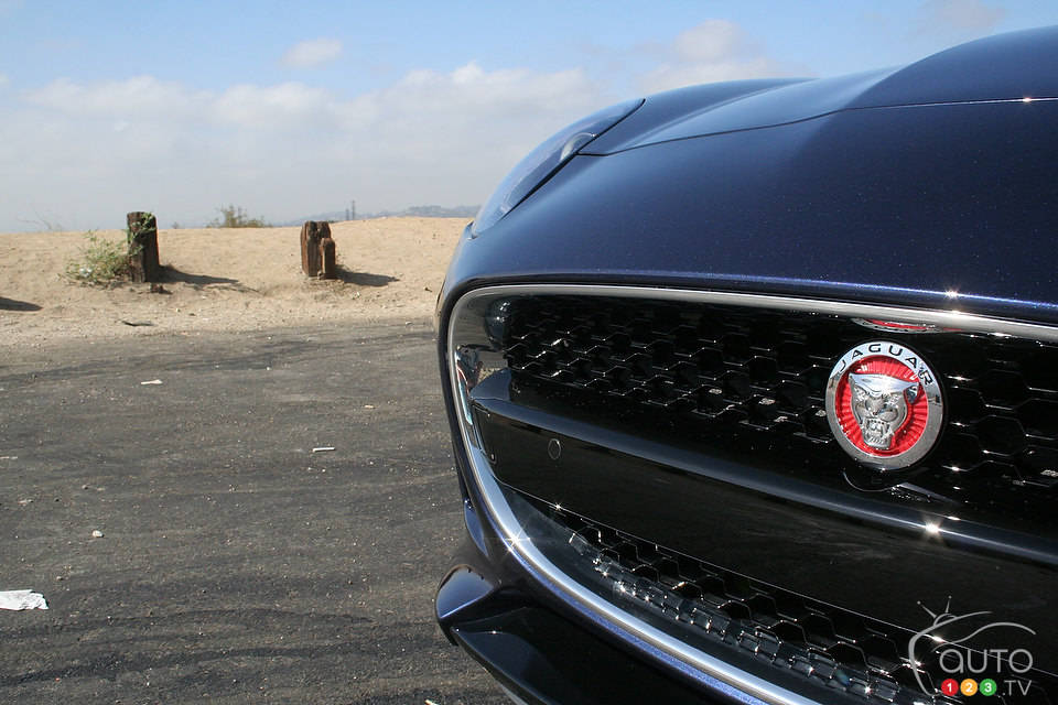 Photo: Miranda Lightstone