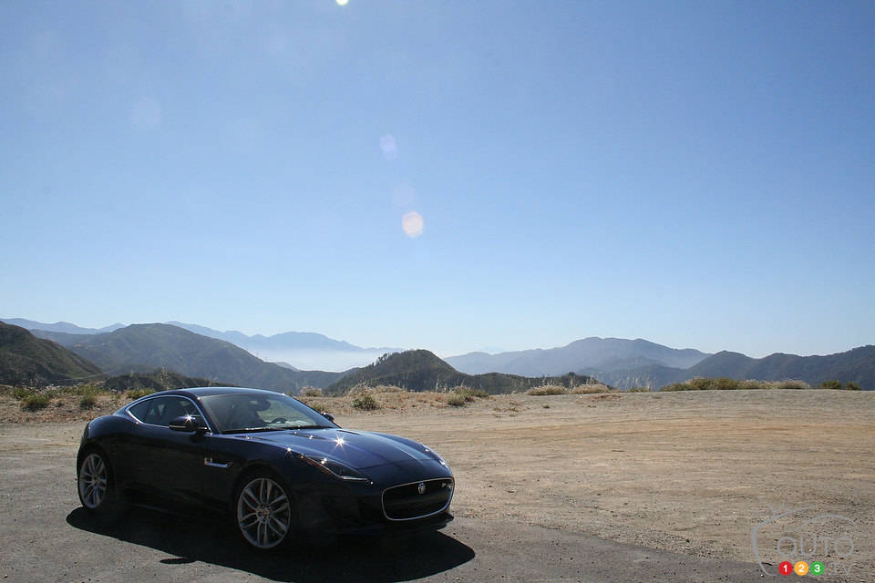 Photo: Miranda Lightstone