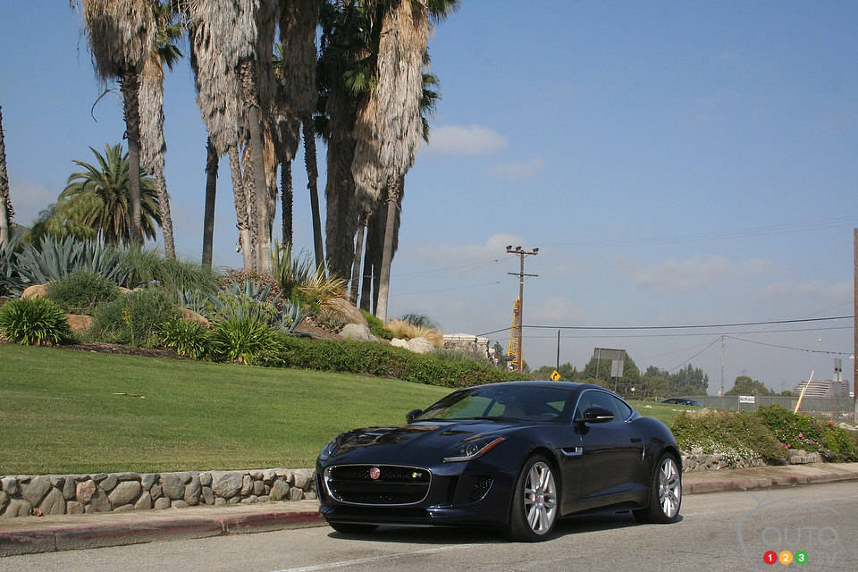 Photo: Miranda Lightstone