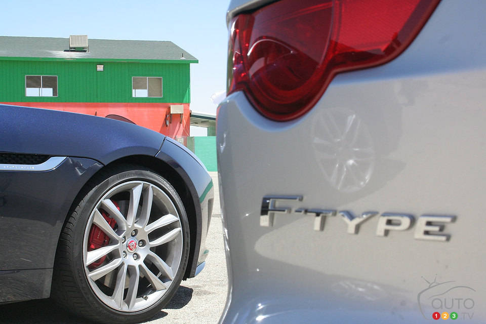 Photo: Miranda Lightstone