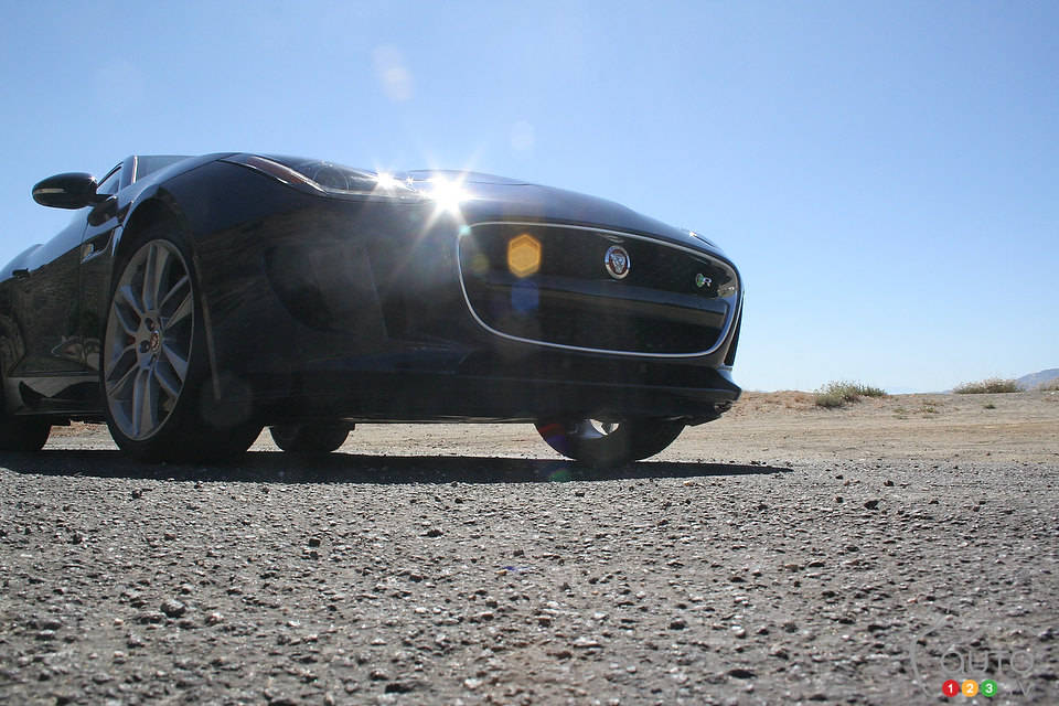 Photo: Miranda Lightstone