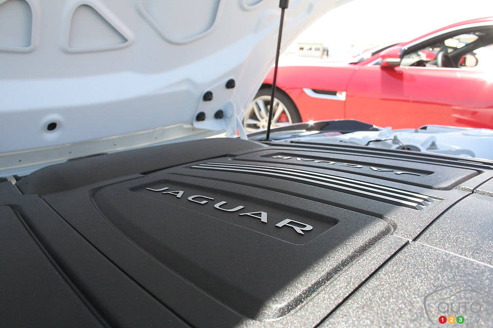 Photo: Miranda Lightstone