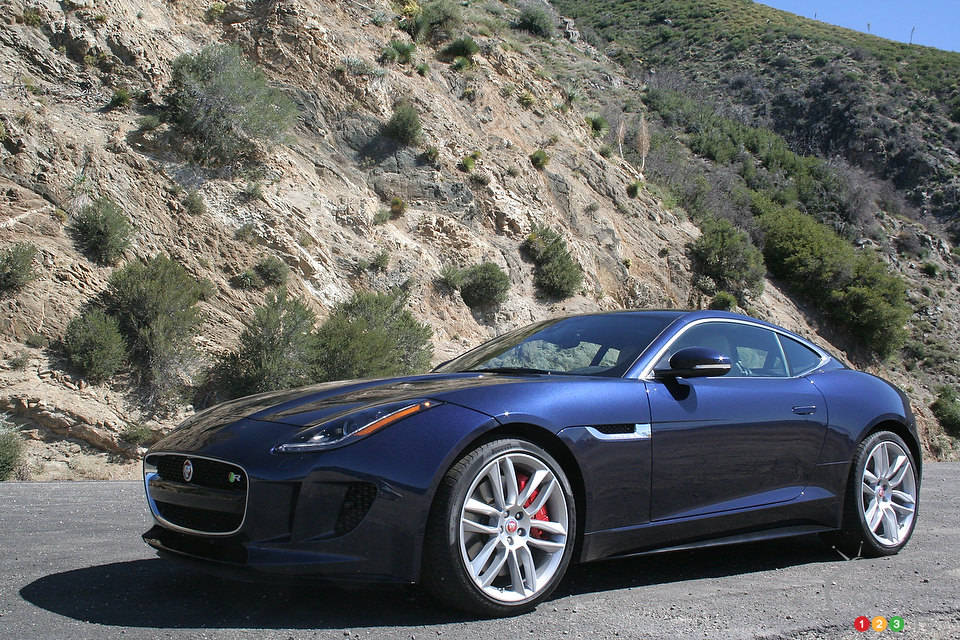 Photo: Miranda Lightstone