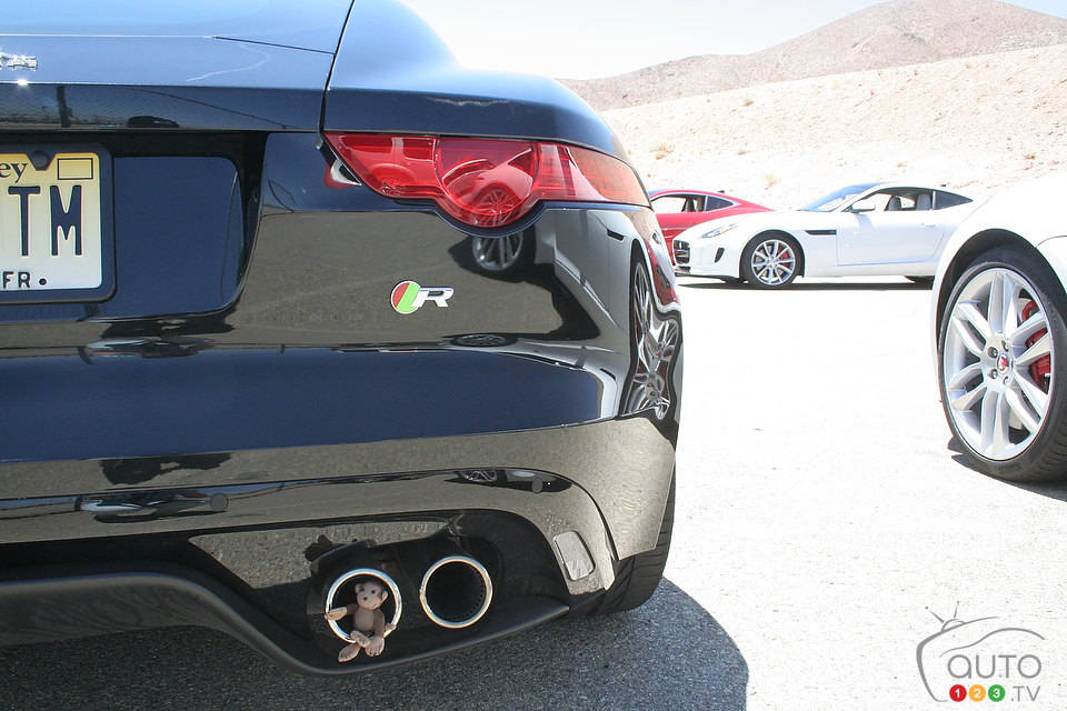 Photo: Miranda Lightstone